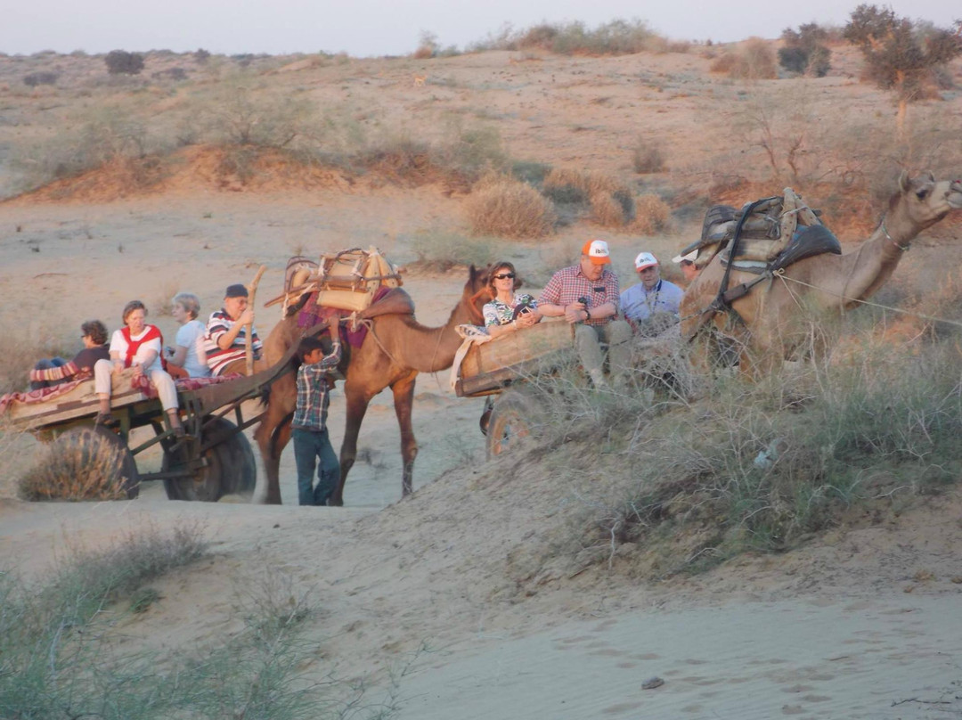 Dunes Safari景点图片
