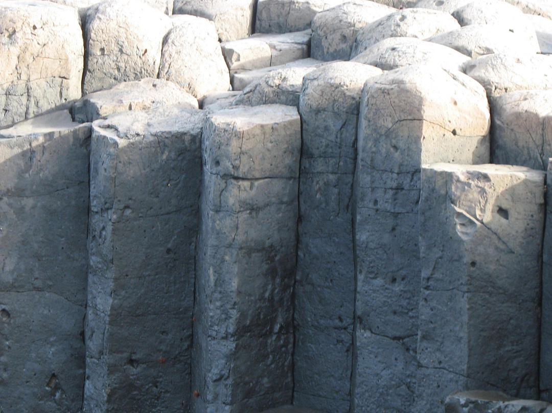 Basalt Columns-Chatham Island (Rekohu)必去景点