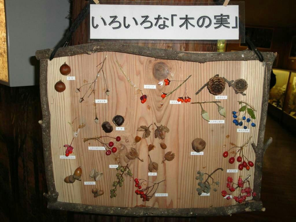 Okayama Forest Park景点图片