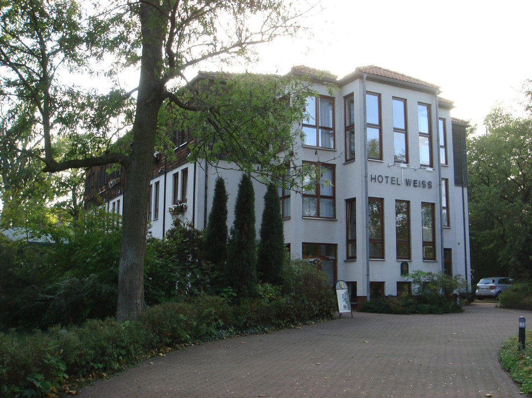 Flair Hotel Weiss主图