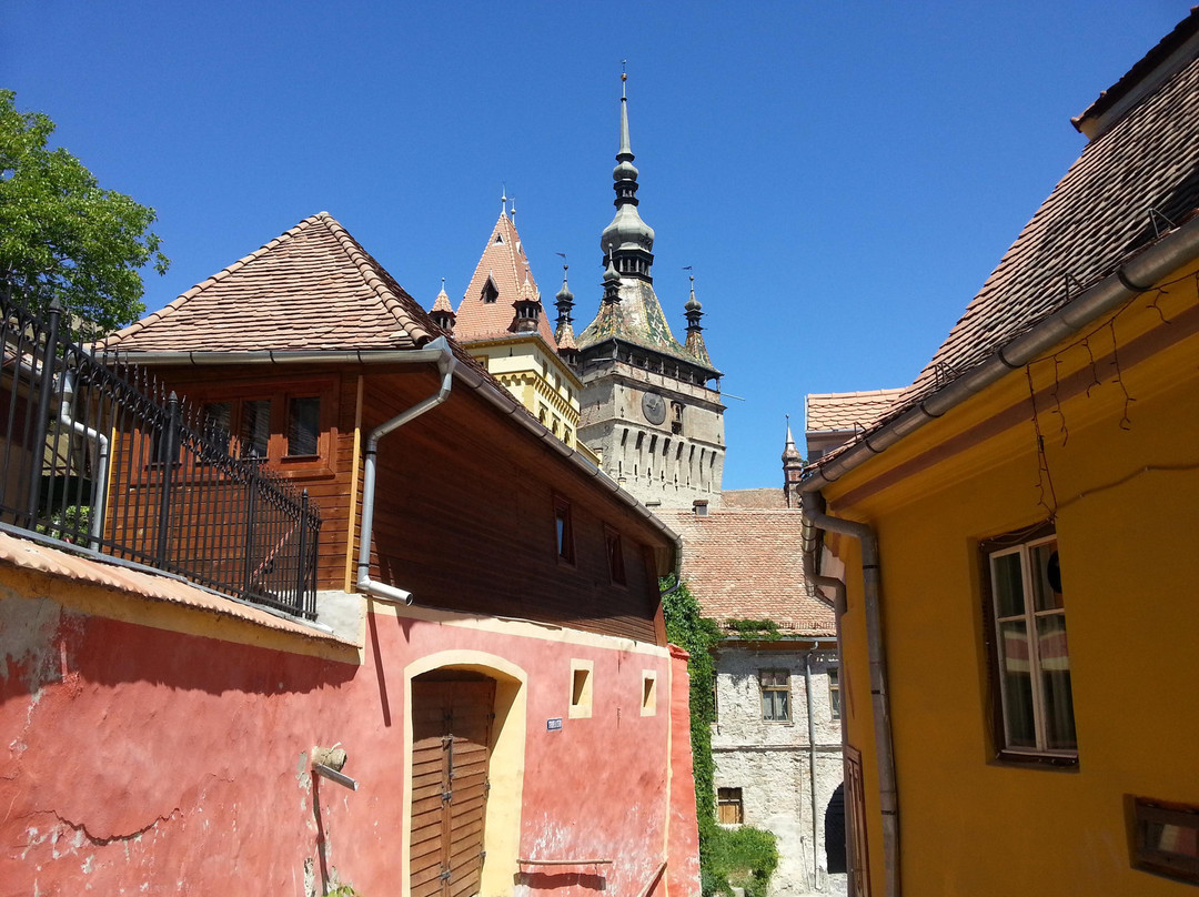 Romania Tour Store景点图片