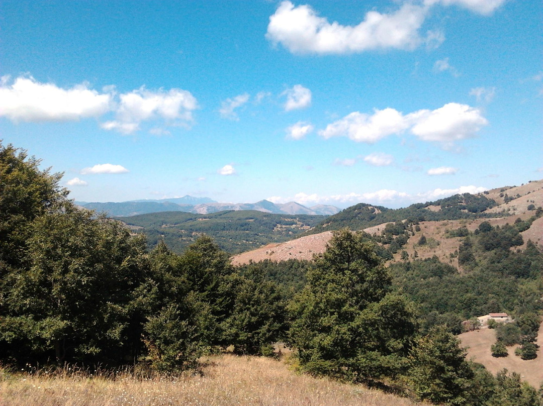 Bosco La Costara di Sasso di Castalda景点图片