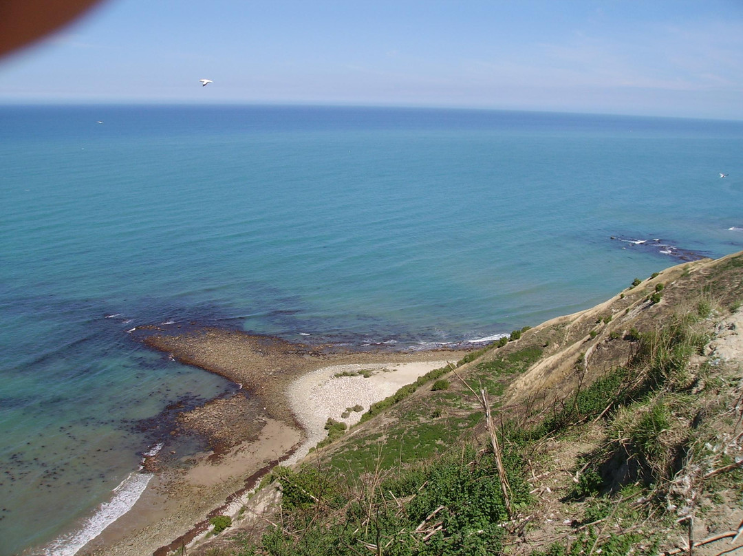 Gannet Colony-Clifton必去景点