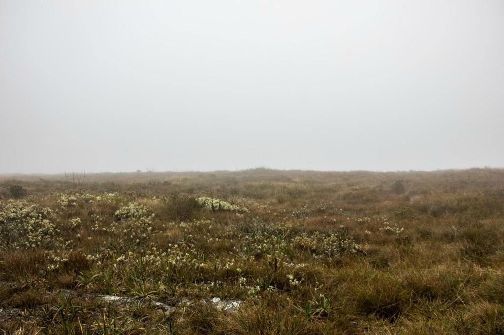 Pico da Lombada-Lima Duarte必去景点