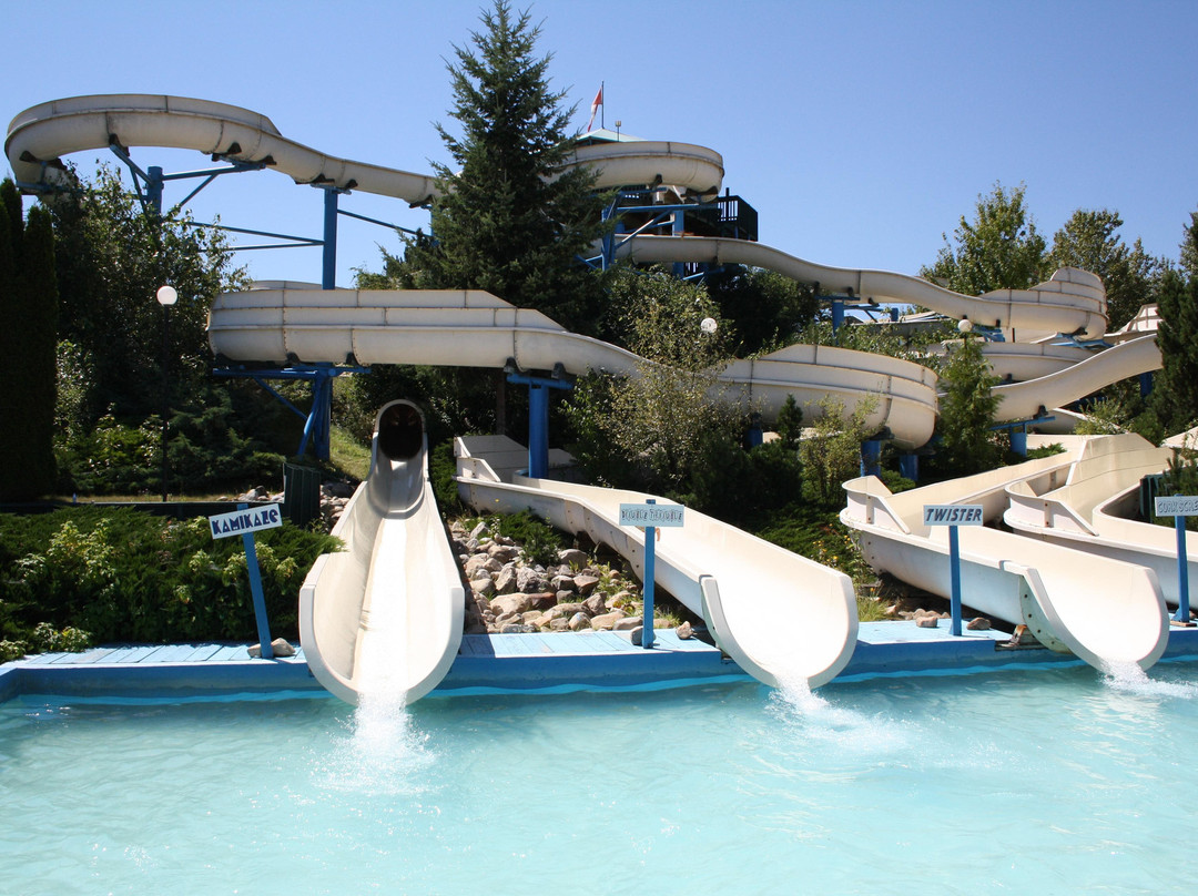 Salmon Arm Water Slides-萨蒙阿姆必去景点
