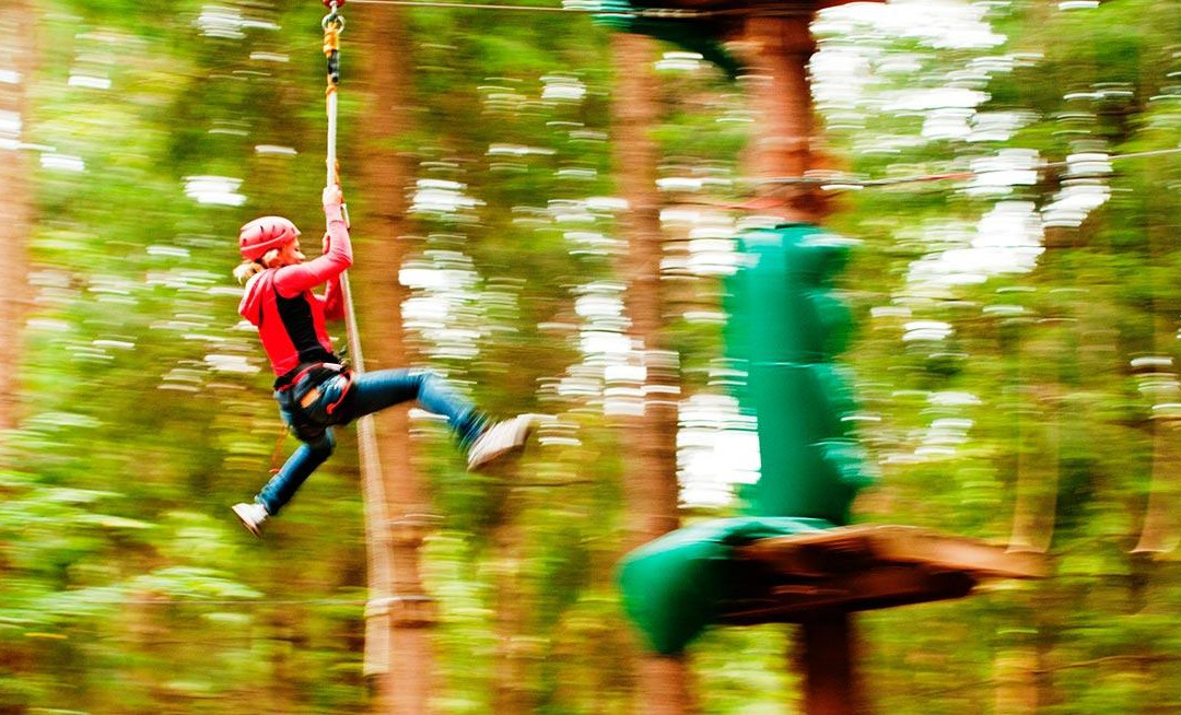Parco Avventura Pineta景点图片