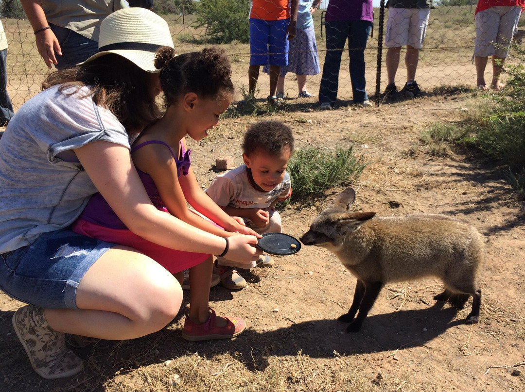 Felidae Centre-金伯利必去景点