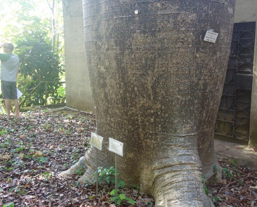 Tropical Agriculture Research Station-Mayaguez必去景点
