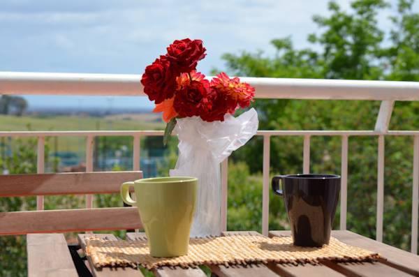 Sunseri House B&B-官方