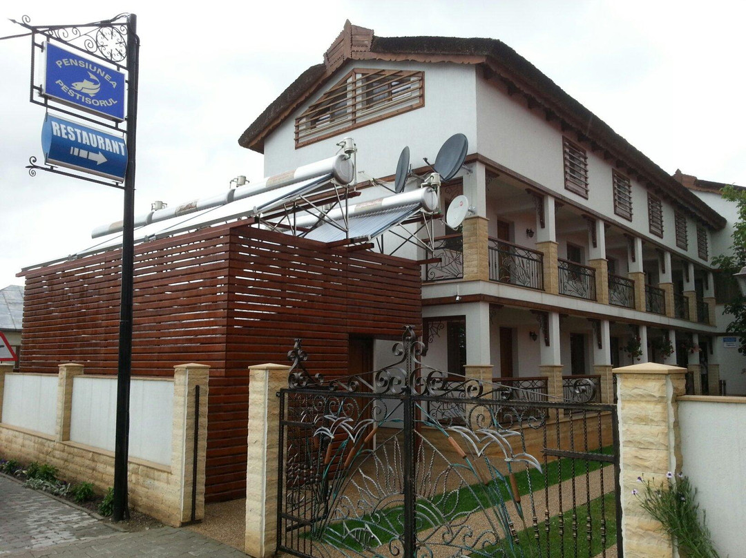 Jurilovca酒店住宿-Pensiunea Pestisorul