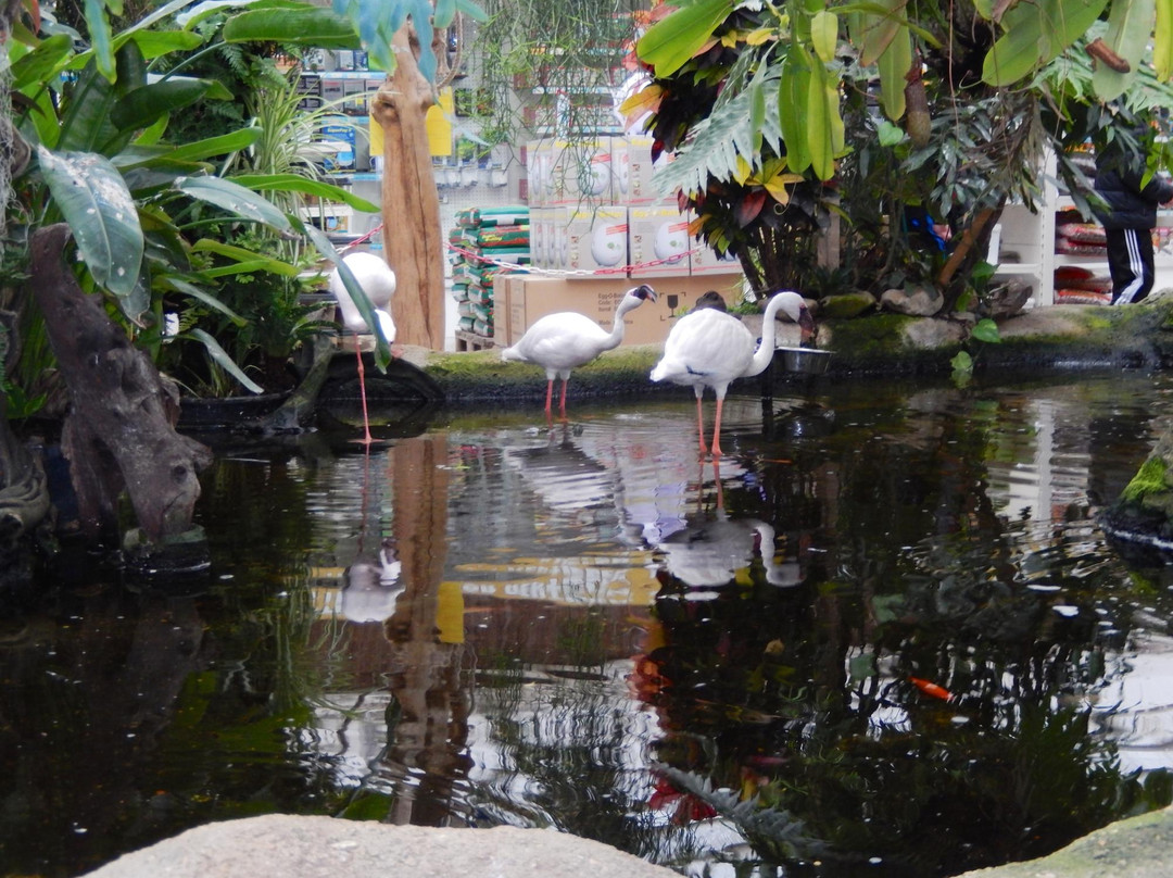 Wateringen旅游景点-Avonturia De Vogelkelder