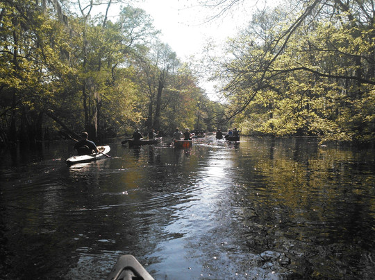 Backwater Expeditions-Rincon必去景点