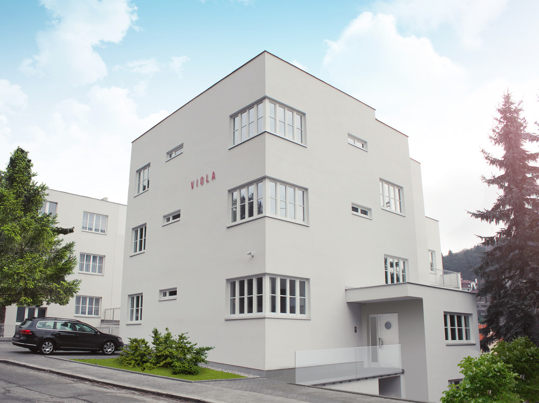 Bojkovice酒店住宿-Hotel VILA VIOLA