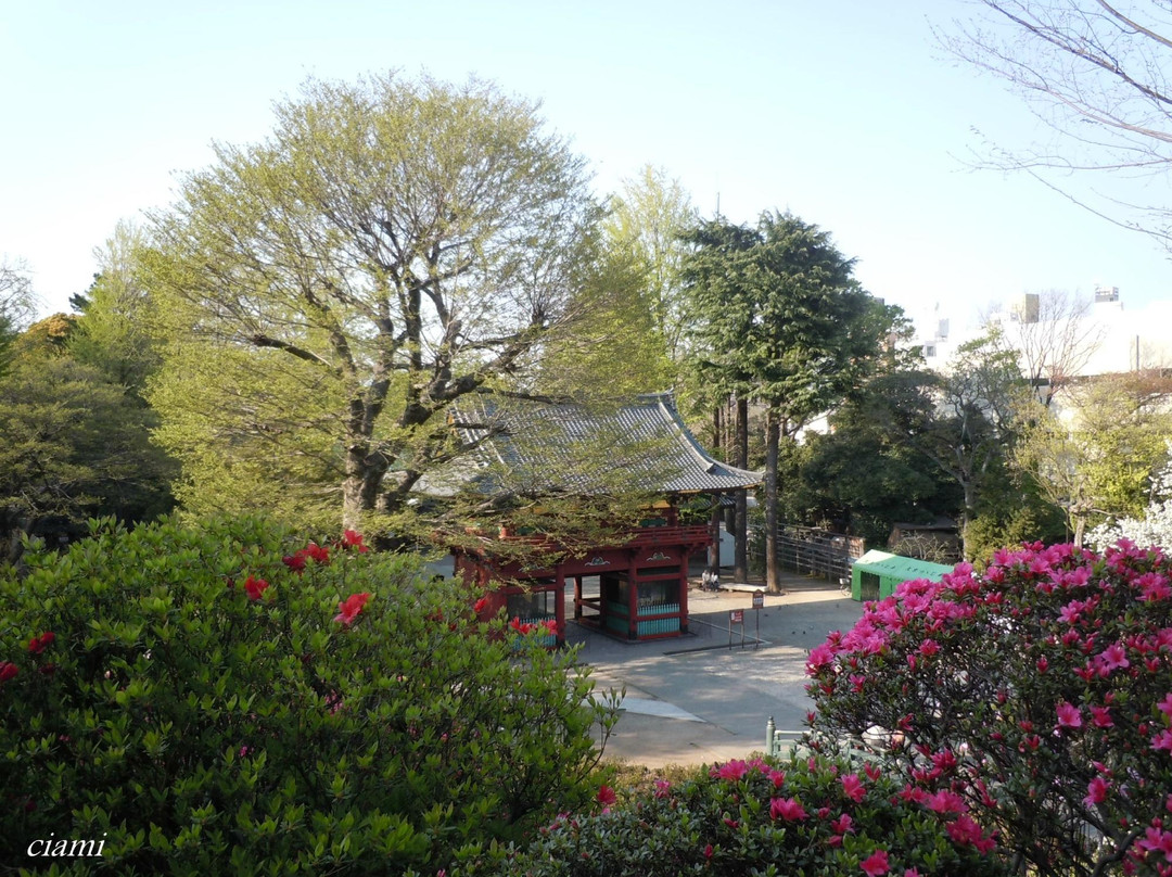根津神社景点图片