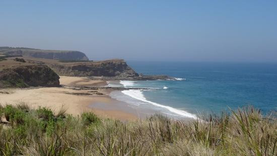 George Bass Coastal Walk景点图片