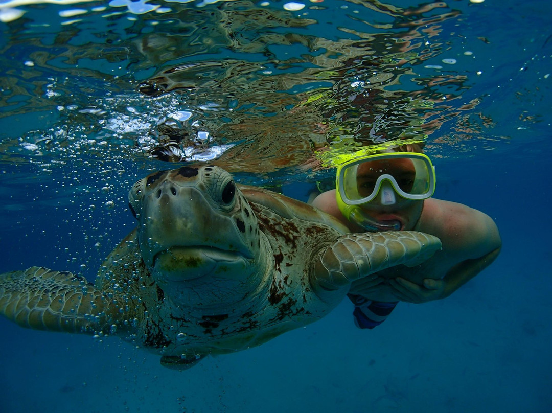 Cliff Sharker-奥伊斯廷斯必去景点