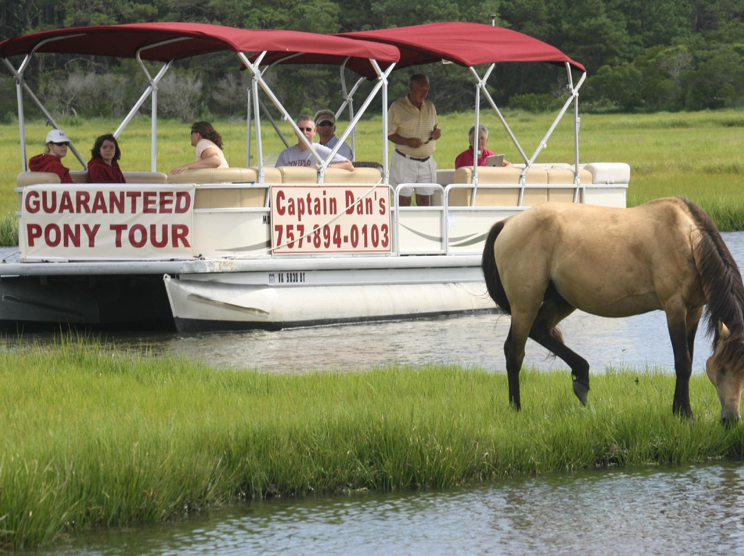 Captain Dan's Around the Island Tours-钦科蒂格岛必去景点