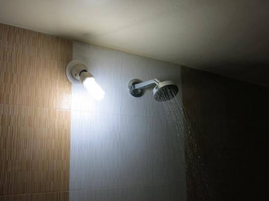 Blue Iris Bliss (Basva)主图