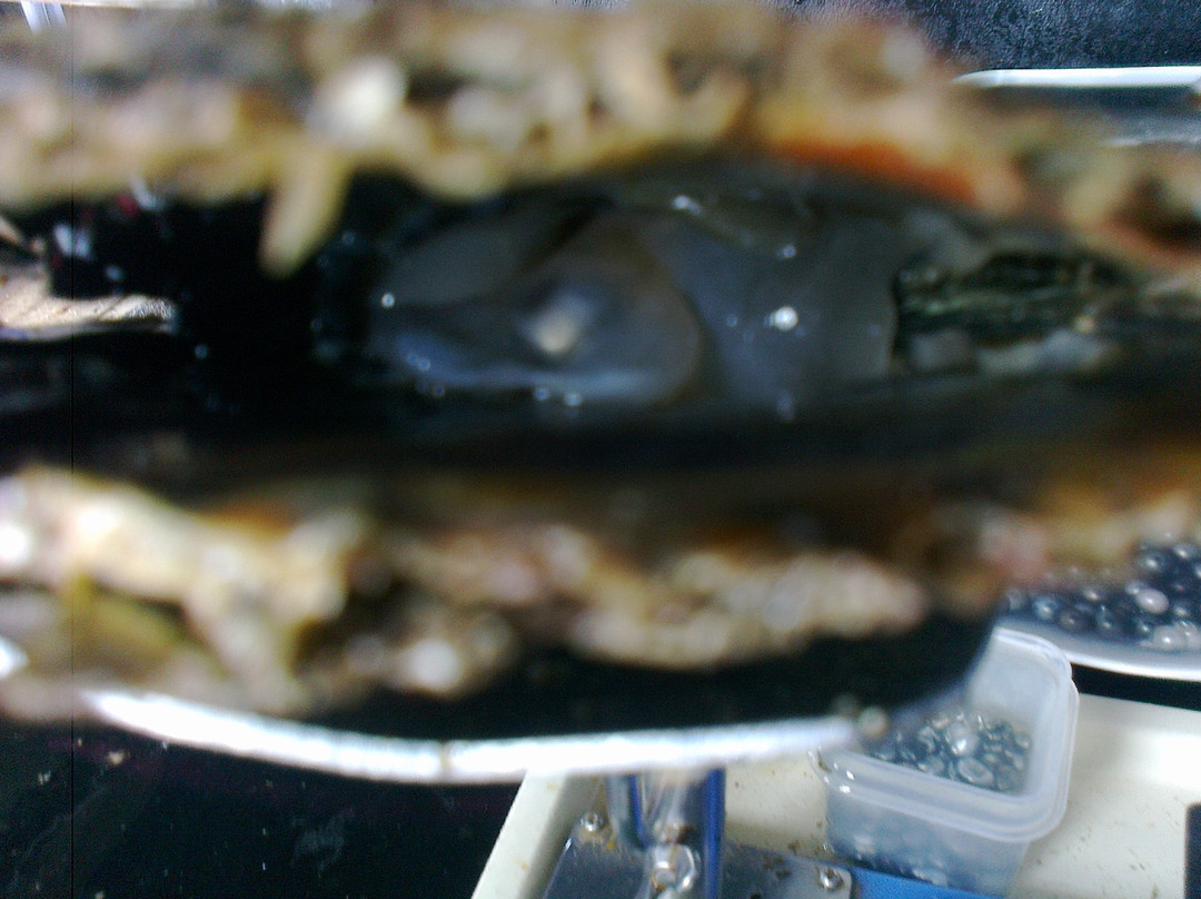 Manihiki Pearl Techs-拉罗汤加必去景点