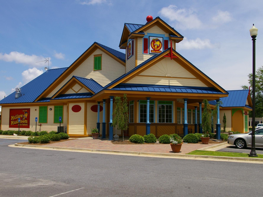 Mellow Mushroom Albany