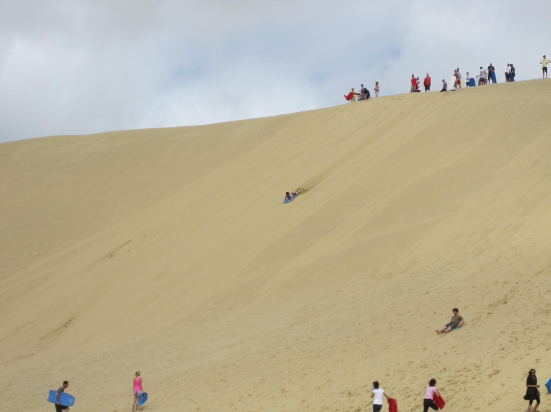 Harrisons Cape Runner景点图片