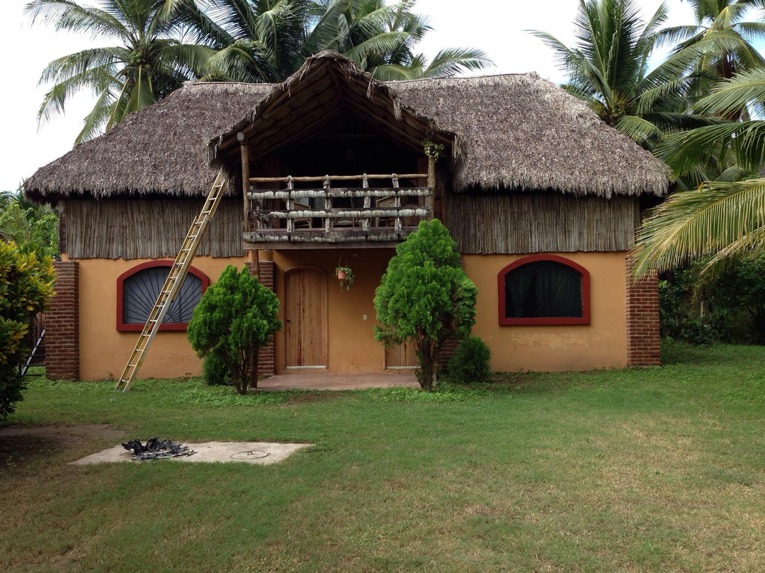 Iguana Loca Hostel