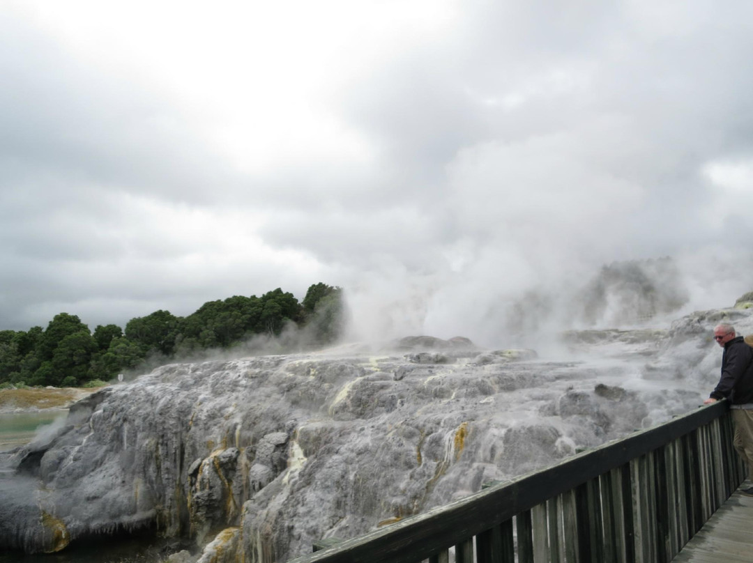 Archer Tours-汉密尔顿必去景点