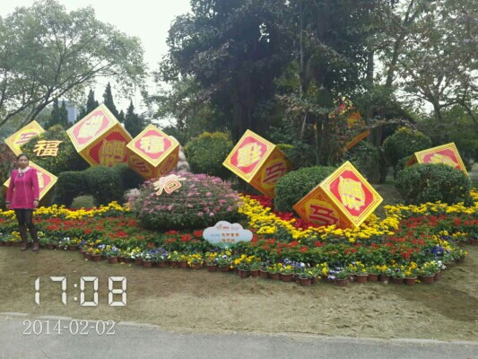 新湖公园景点图片