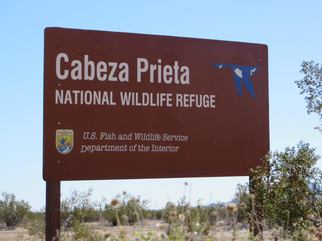 Cabeza Prieta National Wildlife Refuge-Ajo必去景点