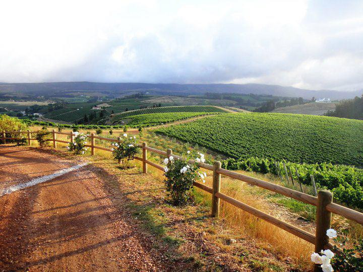 Oneiric Wines-Elgin必去景点