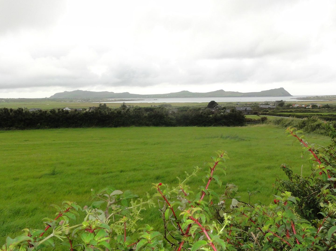 Brewery Hops Tours of Ireland-都柏林必去景点