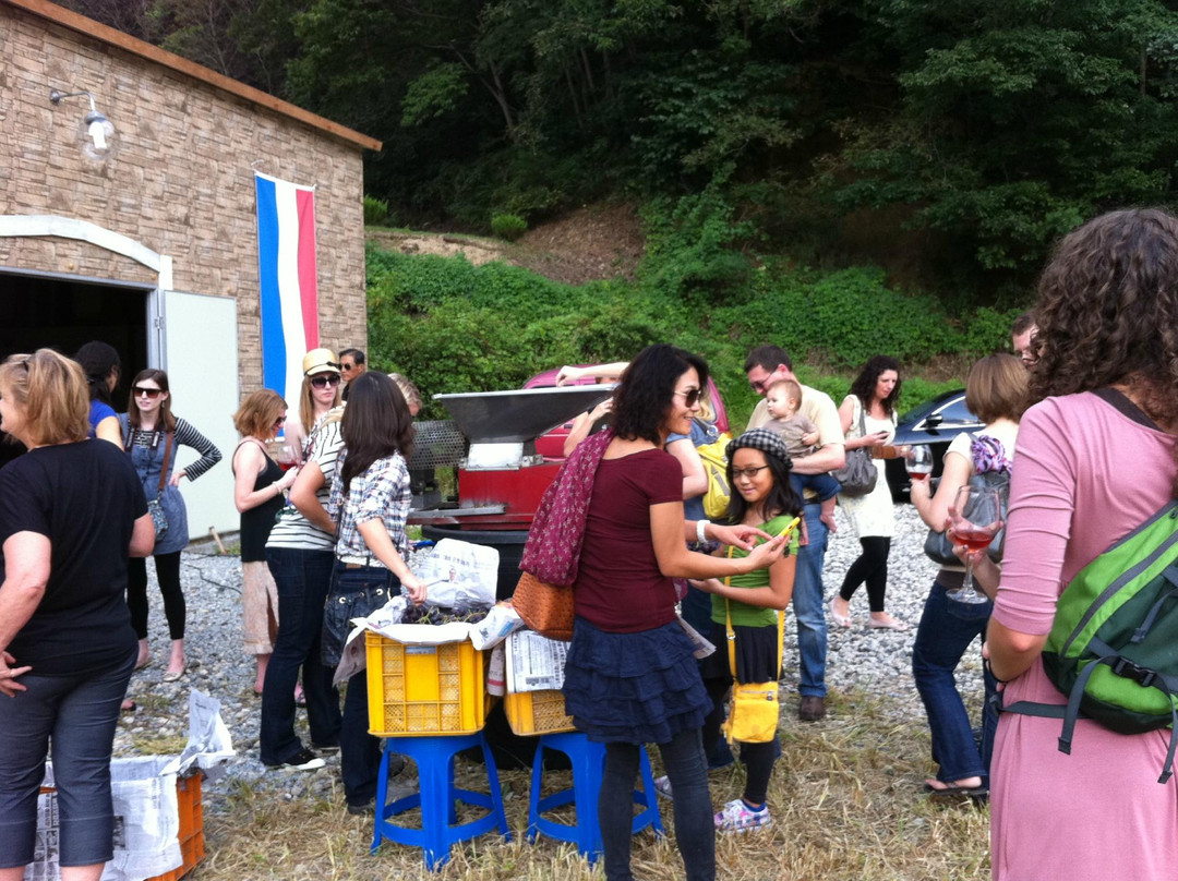 Kenneth Kim Vineyards-安城市必去景点