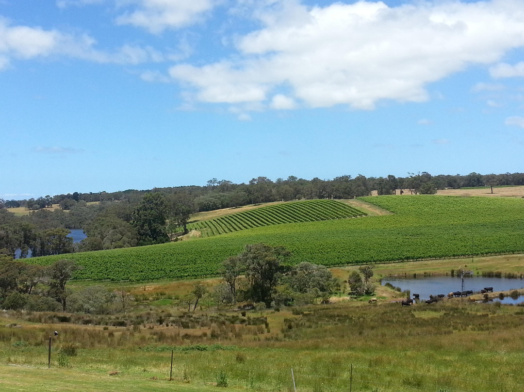 Kalgan Queen Scenic Cruises-奥尔巴尼必去景点