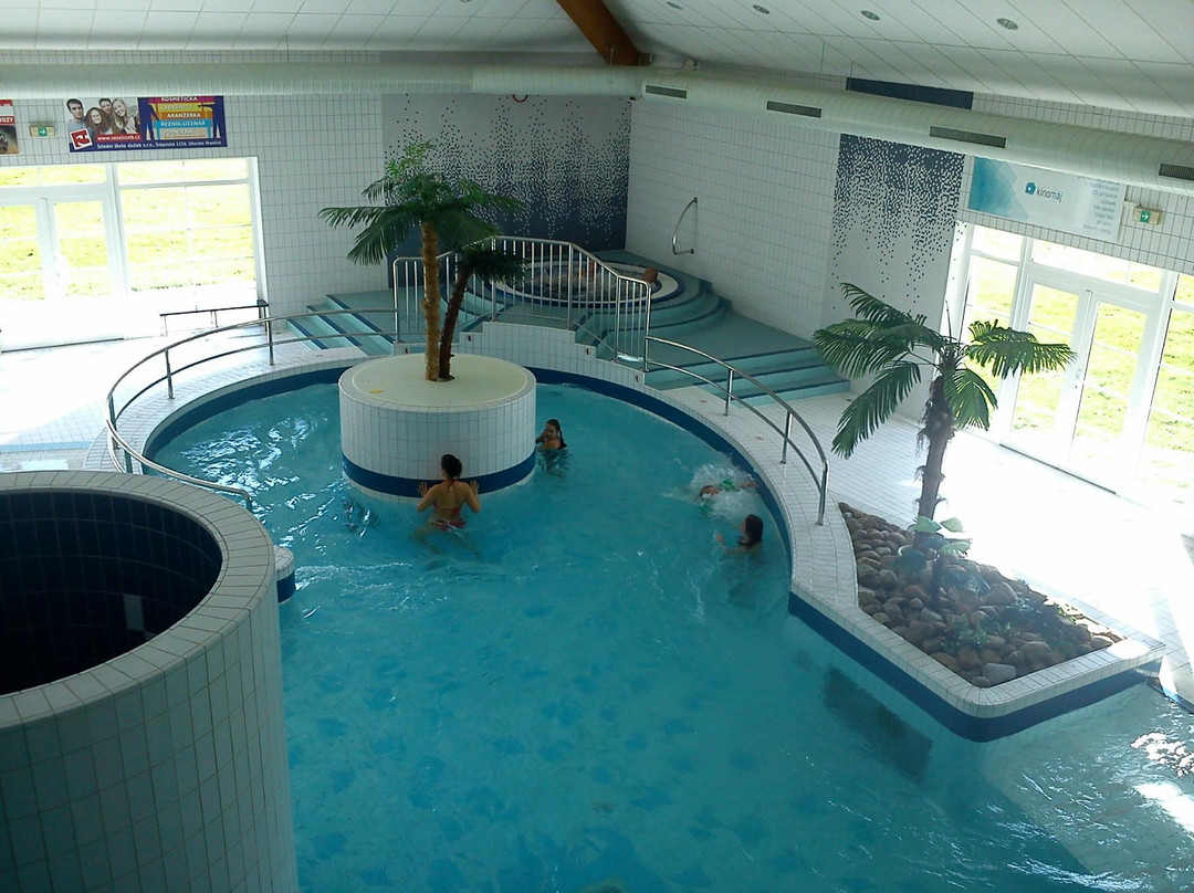 Aquapark CPA Delfin-Uhersky Brod必去景点