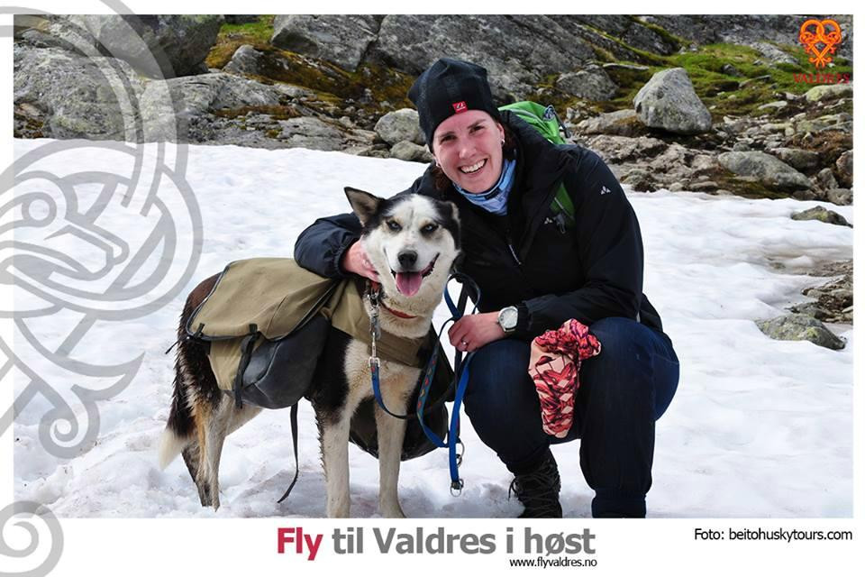 Fagernes Turistinformasjon - Valdres景点图片