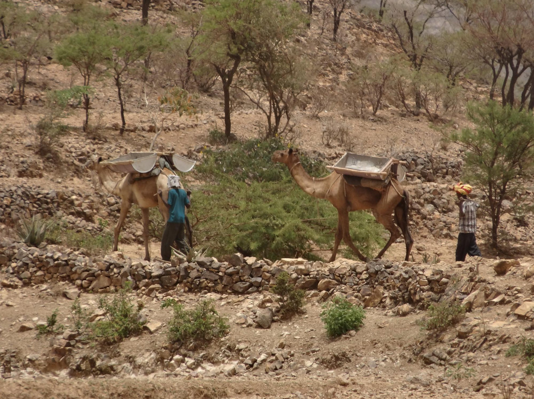 Yeha Archaeological Site景点图片