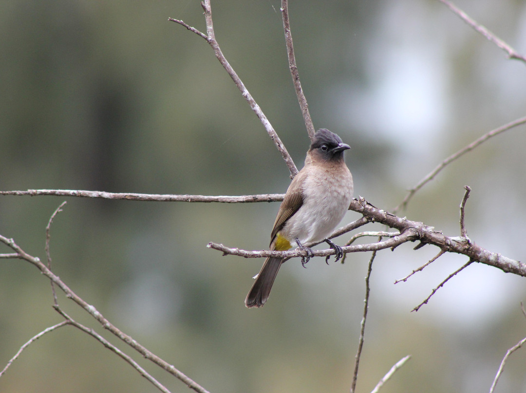 The Dolphin Centre-Ponta do Ouro必去景点