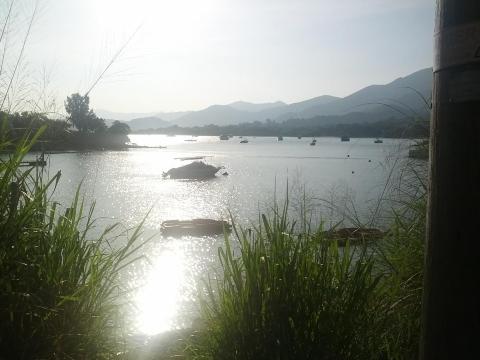 YHA白普理赛马会大美督青年旅舍(大埔)-泳池