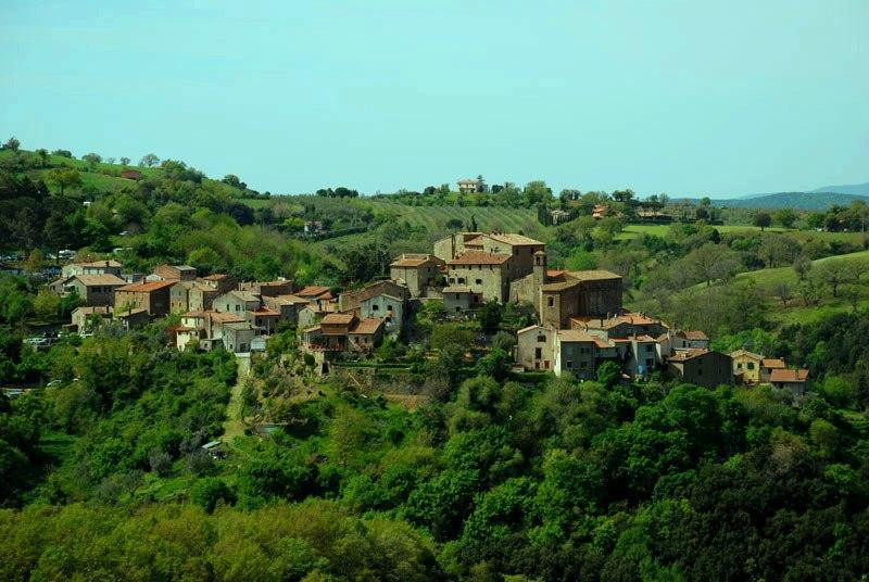 Borgo Medievale di Montorgiali景点图片