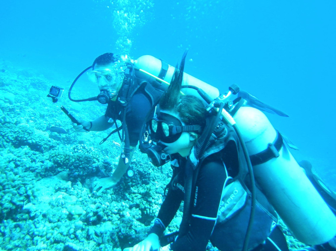 Raie Manta Diving Tikehau-Tuherahera必去景点