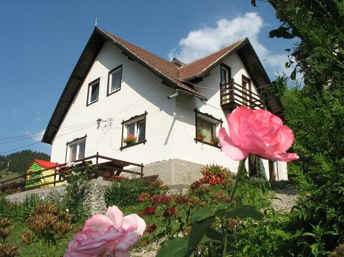 Dragoslovean Guesthouse主图