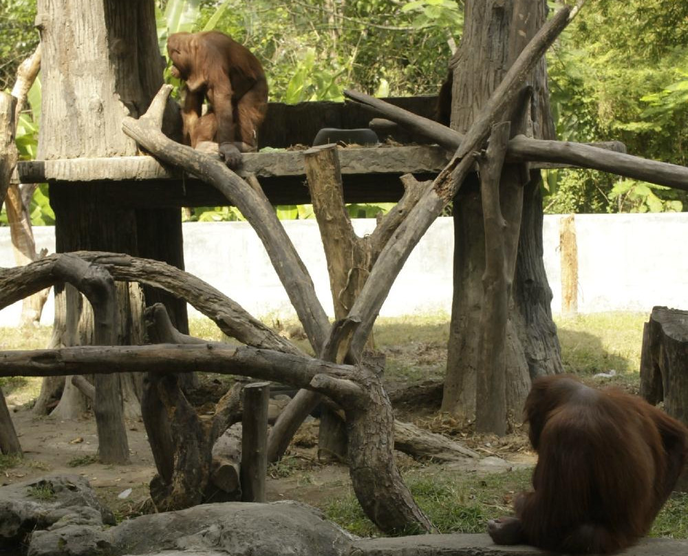 Gembira Loka Zoo-日惹必去景点
