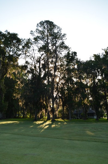 Ocala National Golf Club-奥卡拉必去景点