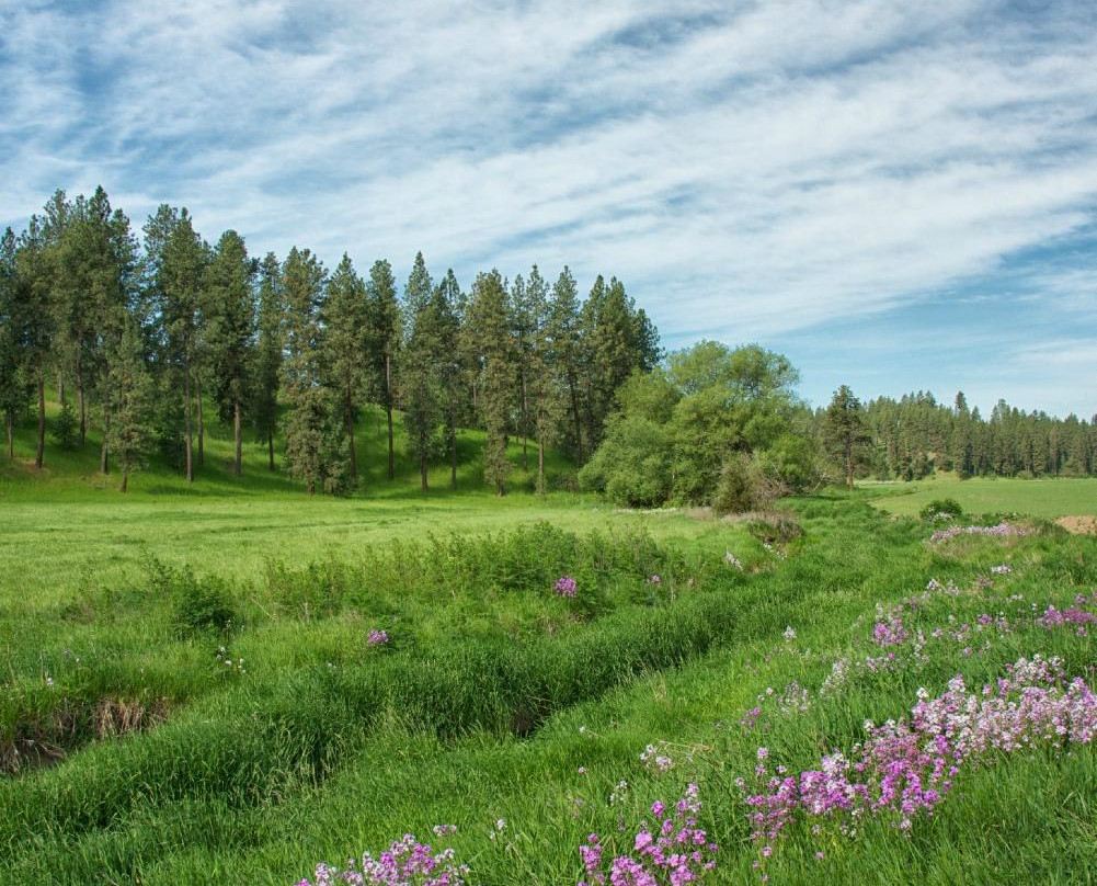 Palouse Tour-Colfax必去景点