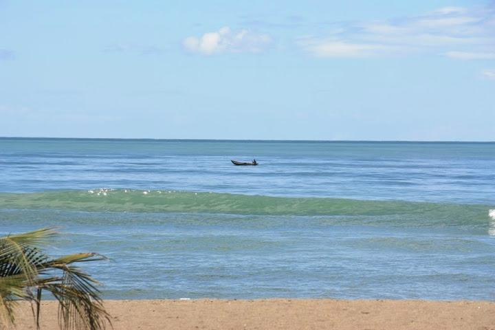 Gazelle Safaris-姆贝亚必去景点