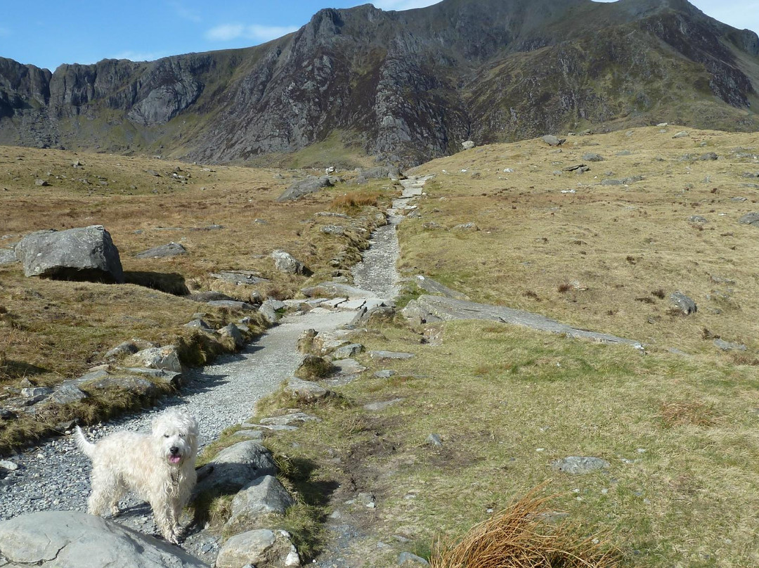 Y Garn-雪墩国家公园必去景点