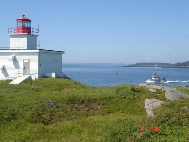 Pea Point Island Lighthouse景点图片