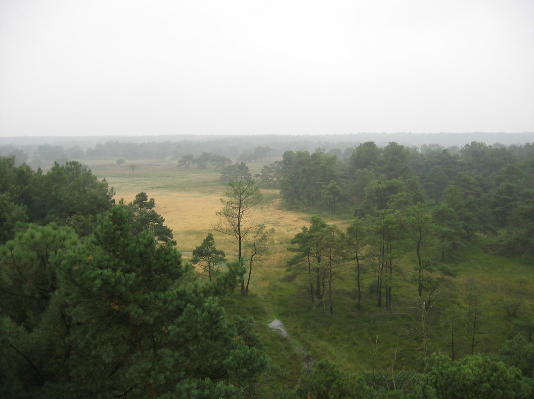 Grenspark de Zoom-Kalmthoutse Heide景点图片