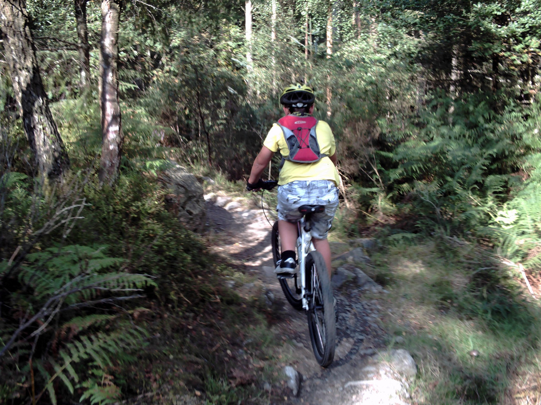 Gwydir Forest景点图片