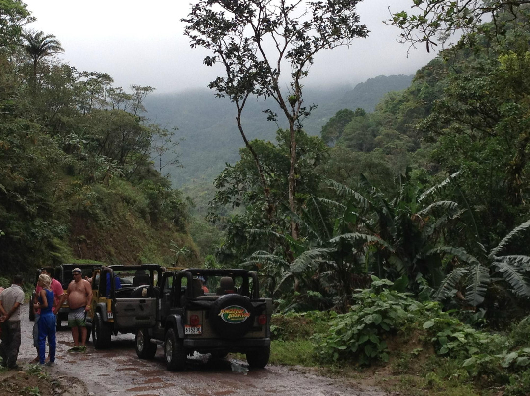 Jungle Jeep Adventure景点图片